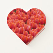 Poussière En Forme De Coeur. Carnet photo Red Tuli (Dos)