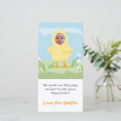 Poussin de Pâques - carte photo (Debout devant)