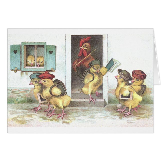 Poussins au professeur d'école et de coq (Devant horizontal)
