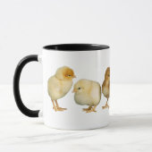 poussins croisant la tasse (Gauche)