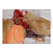 Poussins d'automne (Devant horizontal)