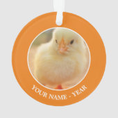 Poussins de bébé (dos)