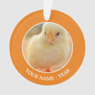 Poussins de bébé
