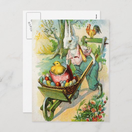 Poussins de brouette de roue de carte postale (Devant / Derrière)