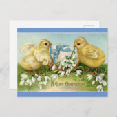 Poussins vintages Avec Carte Postale Oeuf (Devant / Derrière)