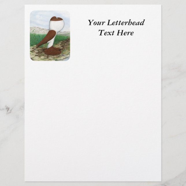 Pouter Pigeon Red Hana (Voorkant)