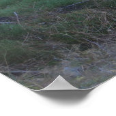 Poutres de lumière dans la forêt Poster (Coin)