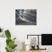 Poutres de lumière dans la forêt Poster (Bureau à domicile)
