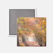 Poutres de soleil dans un aimant forestier d'autom (Recto/Verso)