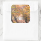 Poutres de soleil dans un autocollant de forêt d'a (Sac)