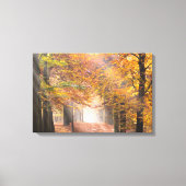 Poutres de soleil dans une toile de forêt d'automn (Recto)