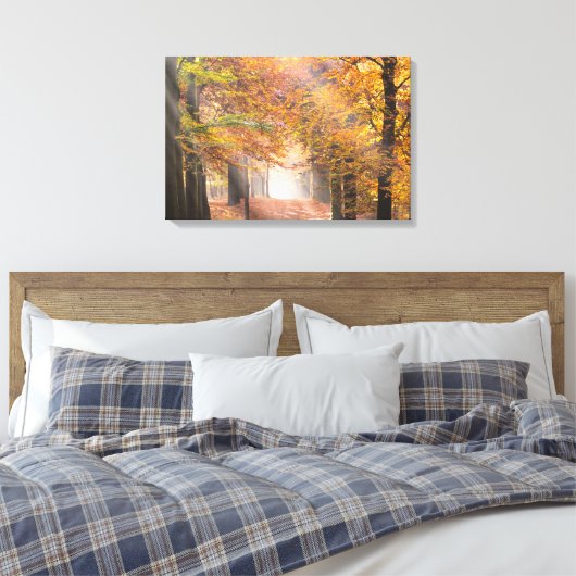 Poutres de soleil dans une toile de forêt d'automn (Insitu(Chambre))
