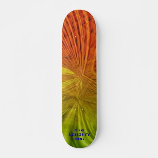 POUTRES LUMINEUSES NEON PRO SKATEBOARD FUN ENFANTS (Devant)