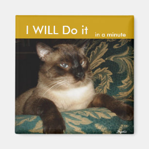 Pouty Siamese Cat Fridge Magnet Magneet