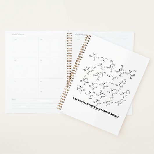 Pouvez-Vous Identifier Les 20 Acides Aminés ? Bioc (Devant avec enveloppe)