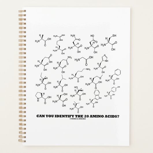 Pouvez-Vous Identifier Les 20 Acides Aminés ? Bioc (Devant)