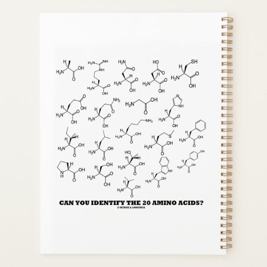 Pouvez-Vous Identifier Les 20 Acides Aminés ? Bioc (Dos)