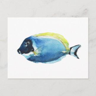 Powder Blue Tang Fish Postcard Briefkaart