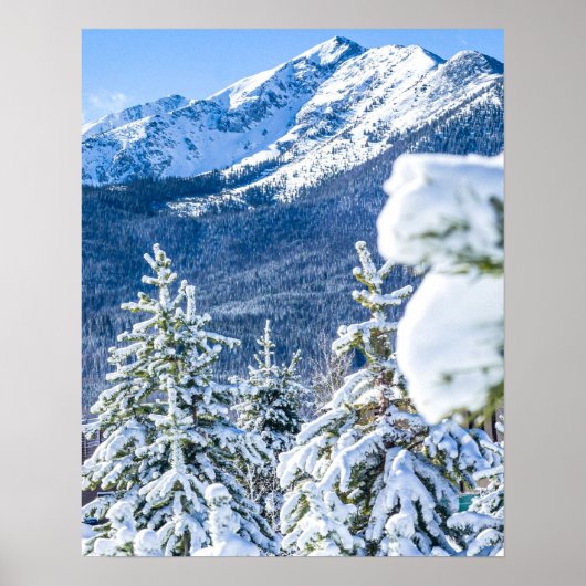 Powder Forest // Blue Snow Pet Mountain Poster (Voorkant)