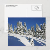 Powder Morning, Alpine Meadows... Briefkaart (Voorkant / Achterkant)