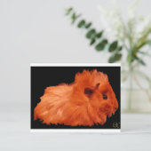 Powder Puff Briefkaart (Staand voorkant)