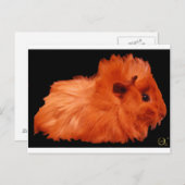 Powder Puff Briefkaart (Voorkant / Achterkant)