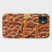 Powdery Mildew Fungus over Poinsettia Case-Mate iPhone Case (Achterkant (horizontaal))