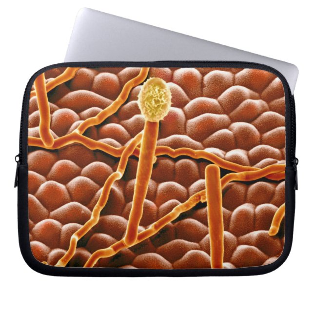 Powdery Mildew Fungus over Poinsettia Laptop Sleeve (Voorkant)