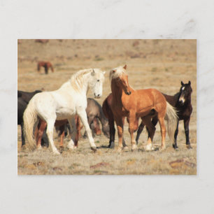 Power Play Briefkaart