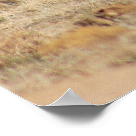 Power Play Poster (Hoek)