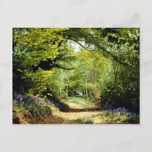 Powerhill Woodlands Battle, East Sussex, Engeland  Briefkaart