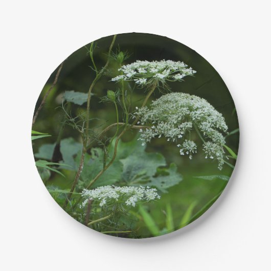 ppr bord sjabloon (Voorkant)