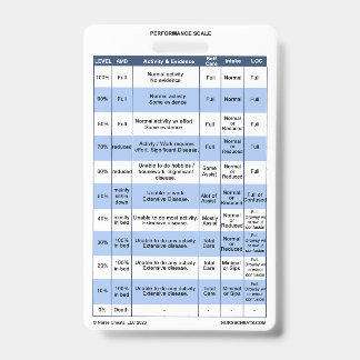 PPS / KPS Badge Buddy voor hospiceverpleegkundigen