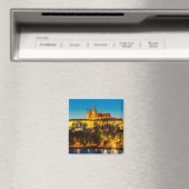 Praag 002A Magneet (Insitu (Vaatwasser))