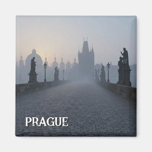 Praag Karelsbrug Reizen Magneet
