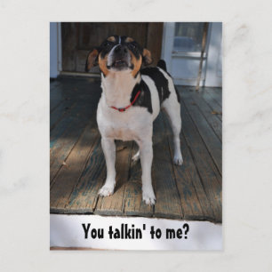 Praat je tegen me? briefkaart