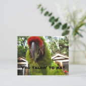 "Praat je tegen me?" papegaai, briefkaart (Staand voorkant)