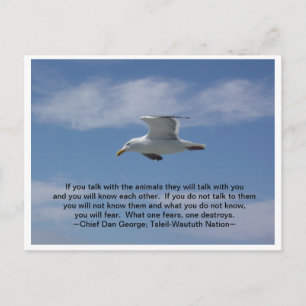 Praat met de dieren briefkaart