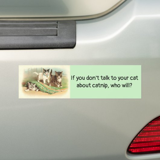 Praat met je kat over Catnip. Bumpersticker (Op auto)