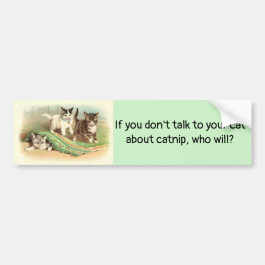 Praat met je kat over Catnip. Bumpersticker (Voorkant)