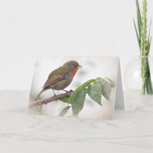 Praatzieke Robin, Wenskaart, inbegrepen enveloppen Feestdagen Kaart