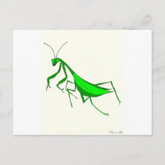 Prabying Mantis Products Briefkaart