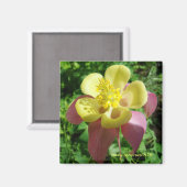 pracht magneet (Voorkant / Achterkant)