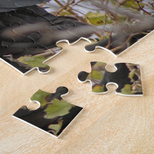 Prachtfregatvogel Legpuzzel (Zijkant)