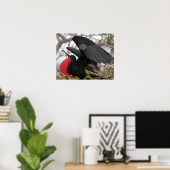 Prachtfregatvogel Poster (Thuiskantoor)