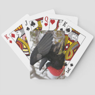 Prachtfregatvogel Speelkaarten