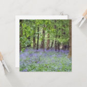 Prachtig Bluebell Wood Kaart (Voorkant / Achterkant in situ)