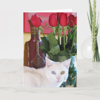 Prachtig Cat Wenskaart! Kaart