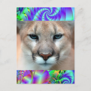PRACHTIG COUGAR BRIEFKAART