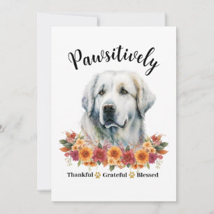 Prachtig Dankbare Gezegende Cute Hond Kaart